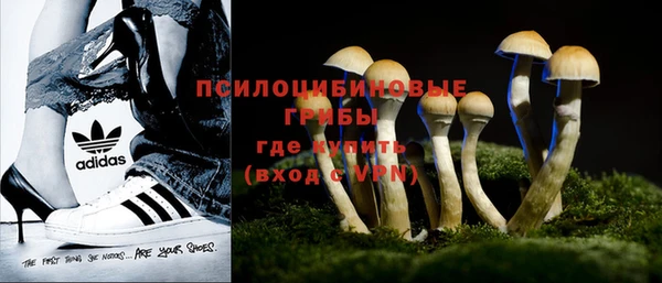 мяу мяу мука Абинск