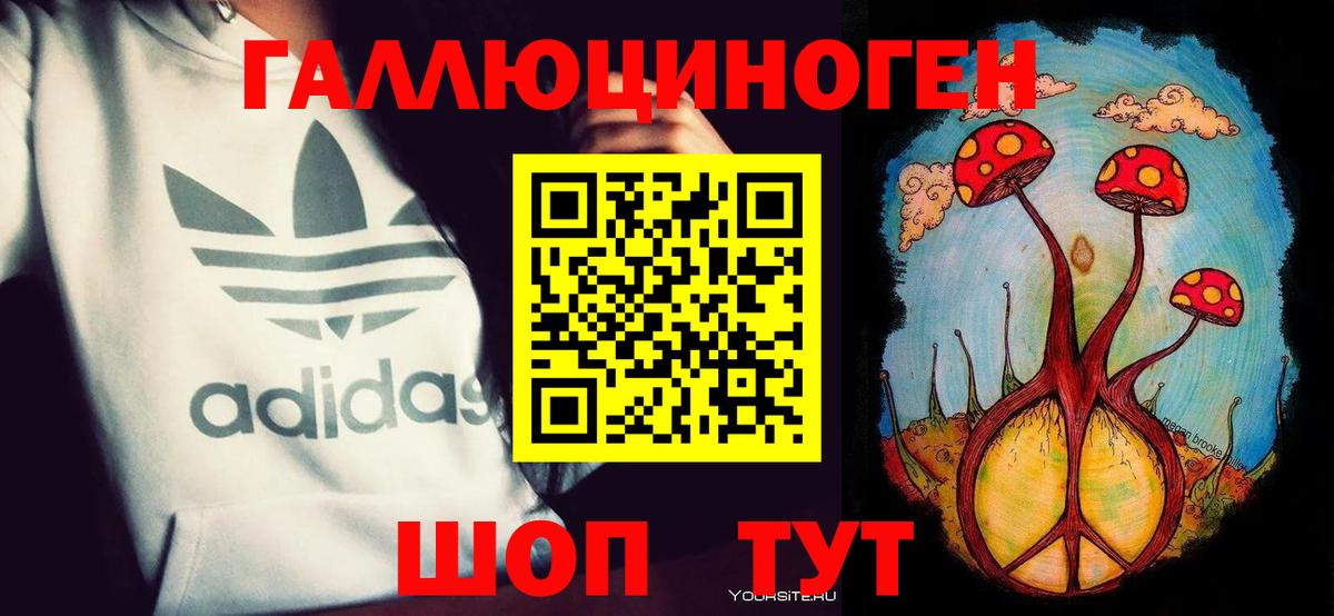 Галлюциногенные грибы Psilocybine cubensis Нальчик