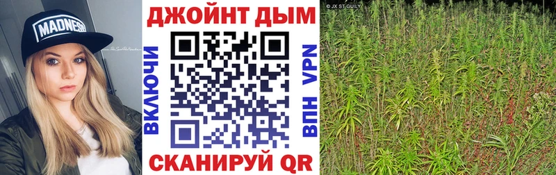 купить наркотики сайты  ОМГ ОМГ ссылка  Бошки Шишки LSD WEED  Нальчик 